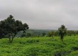 Chuyển nhượng trang trại MIA FARM   GIA LAI 9,6 ha  380m Mặt tiền đường nhựa...