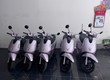 Cho thuê xe máy điện vinfast evo 50cc Đà Nẵng 