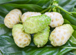 Chiết xuất quả Noni có gì đặc biệt 