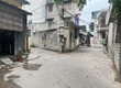 Bán đất ngõ 9 Tân Kim, phường Tân Bình, TP Hải Dương, 116.1m2, mt 4m, đường oto thông,...