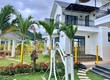 Cần Bán Biệt Thự Sân Vườn 416m , 3 Phòng Ngủ, Không Gian Sống Xanh 