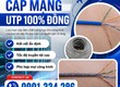 Cáp mạng UTP Cat5e Cat6 100 đồng ALTEK KABEL 