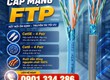 Cáp mạng FTP Cat5e Cat6 100 Đồng ALTEK KABEL 