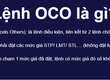 Đặt lệnh OCO 
