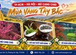 TP.HCM   Hà Nội   Mù Cang Chải   4N3Đ 