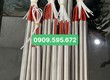 Điện trở cây 1 đầu   giao hàng toàn quốc   BH 3 tháng 