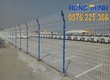 Cung cấp hàng rào lưới thép hàn tại Vĩnh Phúc 