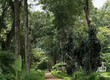BÁN ĐẤT hơn 10.000m2  LONG KHÁNH ĐỒNG NAI chỉ 1,3ty/ sào 