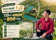 LÀNG OMM BÊN ĐỒI CHÈ   Chỉ một lô khách gửi bán lại 
