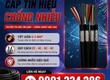 Cáp Tín Hiệu Chống Nhiễu 0.3mm  2 4 6 8 Lõi  ALTEK KABEL 