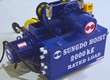 Pa Lăng Sungdo Dầm Đơn 2 Tấn   2 Cấp Tốc Độ 