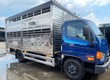 Xe chở gia súc 6 tấn 