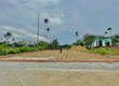 2 lô đôi gần chợ nam phước giá 6xx 