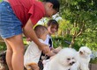 Chủ hộ cần bán gấp lô đất 200m vuông tại phường 2 Bảo Lộc giá chỉ 840tr 