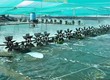 Lưới ô vuông hdpe, lưới lồng cá, lưới nuôi trồng thủy hải sản giá tốt 