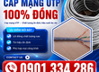 Cáp Mạng UTP Cat5E Cat6 4 Pair 100 Đồng ALTEK KABEL 