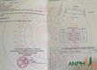 Cơ hội an cư đất mặt đường giá cực rẻ Phường Bạch Đằng  xã Minh Tân ,...