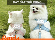 Thủ tục nhập khẩu dây dắt thú cưng 