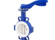 Van bị động DN15   DN300 tại TPHCM   ITT 