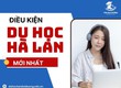 Tân Đại Dương   Công ty chuyên tư vấn hỗ trợ hồ sơ du học Hà Lan...