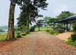 Đất vườn nghỉ dưỡng Lộc Tân   Lý Thái Tổ   Giá chỉ 800 Triệu cho...