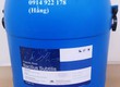 Bacillus Subtilis, Bổ Sung Lợi khuẩn, Hỗ Trợ Đường Ruột Cho Tôm Cá 