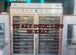 Tại Sao Nên Sử Dụng Máy Sấy Công Nghiệp Để Chế Biến Hành Tỏi 