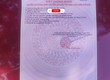 BÁN NHANH đất mặt tiền NHỰA DH514   PHƯỚC HÒA, Giá chỉ 890tr 