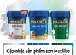Sơn Maxilite từ Dulux Có Những Loại Nào  Giá Hiện Tại Bao Nhiêu 