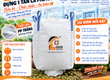 Bao Jumbo Louis Packaging 1 tấn PP trắng 