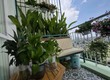 Cần bán căn hộ chung cư  An Phú Apartment Đ/C 961 Hậu Giang Phường 11 Quận 6,...