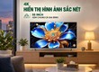 Google Tivi qled TCL 55t6d,  65t6d,  75t6d 