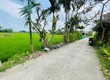 Chính chủ bán lô điện bàn tây giá 590 triệu 