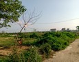 Cho thuê văn phòng