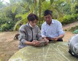 Điện tử, Kỹ thuật số