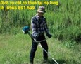 Đồ nội thất