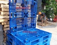 Đồ nội thất