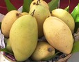 Mẹ Và Bé