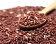Vườn, Ngoại thất