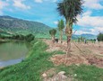 Mua Bán nhà đất