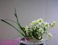 Vườn, Ngoại thất