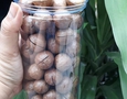 Mua sắm, Tổng Hợp