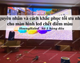 Dịch vụ văn phòng