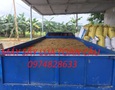 Cơ hội giao thương