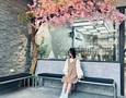 Vườn, Ngoại thất