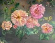 Mua sắm, Tổng Hợp