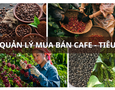 Mua sắm, Tổng Hợp