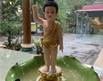 Mua sắm, Tổng Hợp