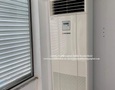 Điện lạnh, Máy, Gia dụng