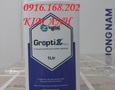 Vườn, Ngoại thất